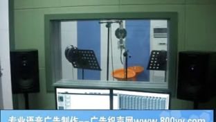 商超產(chǎn)品播報(bào)與廣告錄音制作服務(wù)